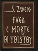 Cover of Fuga e morte di Tolstoj