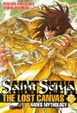 Cover of Saint Seiya, The Lost Canvas #17