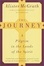 Cover of "The Journey"