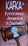 Cover of Il processo-America-Il castello