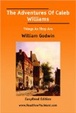 Cover of The Adventures Of Caleb Williams  (EasyRead Edition)