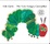 More about The very hungry caterpillar ／好餓的毛毛蟲