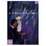 Cover of "Harry Potter et le Sang Mele"