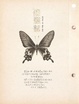 Cover of 迷蝶誌