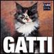 Cover of Gatti