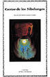 Cover of Cantar de los Nibelungos