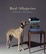 Cover of Real allegories