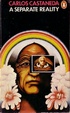 Cover of A Separate Reality