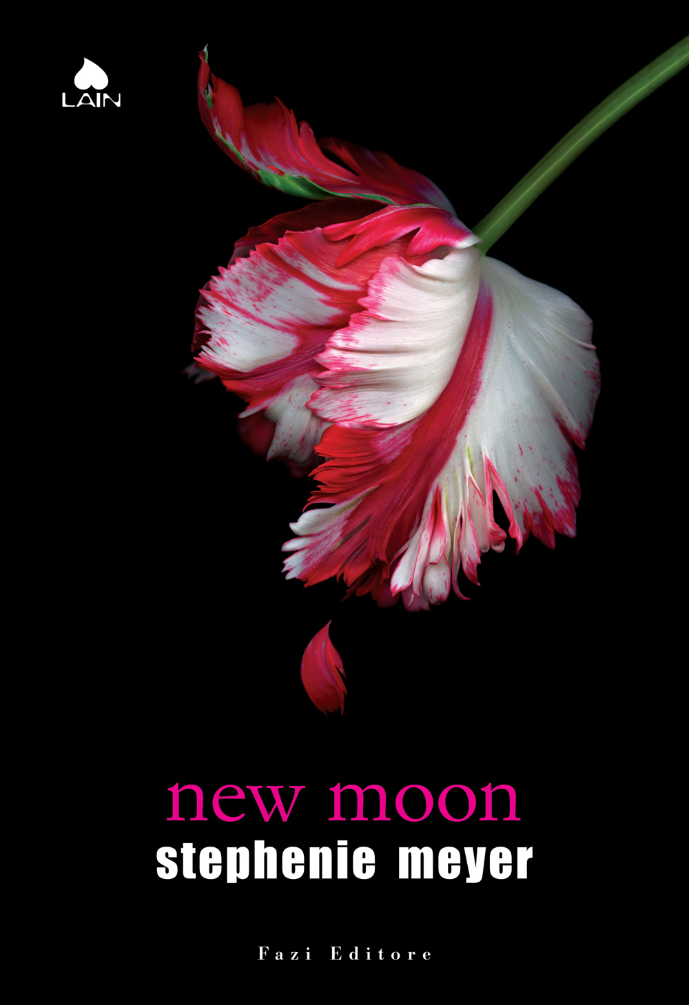 Image of New Moon