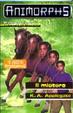 Cover of Il mistero
