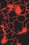 Cover of Blood Music