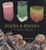 Cover of "Rocks and Fossils"