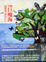 Cover of 巨魔海