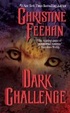 Cover of Dark Challenge