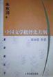Cover of 中国文学批评史大纲