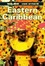 Cover of Lonely Planet Eastern Caribbean