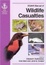 Cover of BSAVA Manual of  Wildlife Casualties
