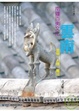Cover of 雲南