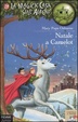 Cover of Natale a Camelot