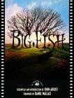 Big Fish : The Shooting Script (Newmarket Shooting Script Series)