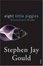 Cover of "Eight Little Piggies"