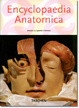 Cover of Encyclopaedia Anatomica