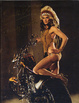 Cover of Sante D'Orazio 1997-2008
