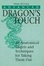 Cover of "Advanced Dragons Touch"