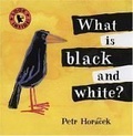 What Is Black and White?