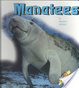 Cover of Manatees