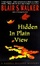 Cover of "Hidden in Plain View"
