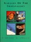 Cover of Gallery of the Imagination