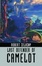 Cover of "Last Defender of Camelot"