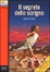 Cover of Il segreto dello scrigno