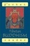 Cover of "The Pocket Tibetan Buddhism Reader"