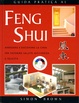 Cover of Guida pratica al feng shui