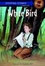 Cover of "White Bird"