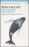 Cover of Le balene lo sanno