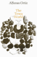 Cover of The Tewa World