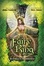 Cover of 'Fairy Ring'