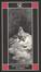 Cover of Il Corvo