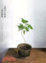 Cover of 心與手三部曲