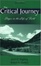 Cover of "The Critical Journey, Stages in the Life of Faith, Second Edition"