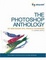 Cover of "The Photoshop Anthology"