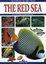 Cover of Mar Rosso