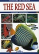 Cover of Mar Rosso