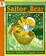 Cover of Sailor Bear