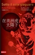 Cover of 在美洲虎太陽下