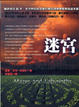 Cover of 迷宮