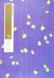 Cover of 婉如火金姑